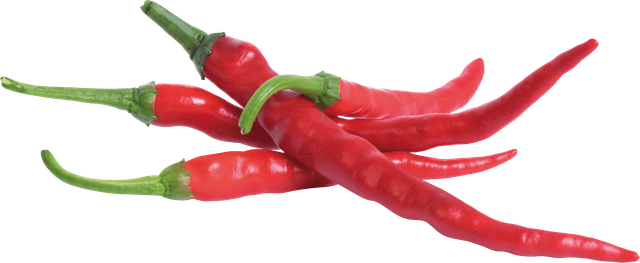VER L5-PIM018 - Indoor Garden, Pfefferschote ''Cayenne''