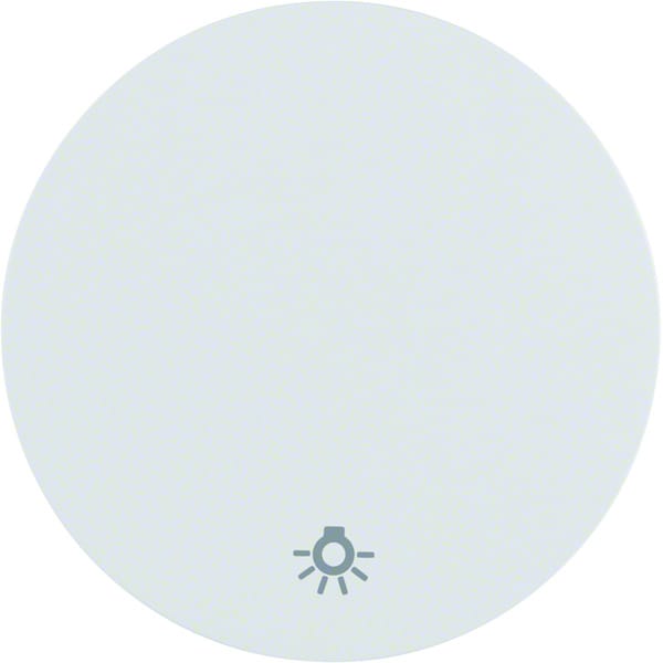 BERKER 16202079 - Wippe mit Aufdruck Symbol Licht R.1/R.3 polarweiß, glänzend