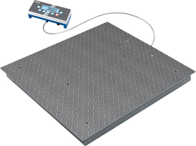 BID 3T-3D - Bodenwaage, digital, bis 1500 kg / 3000 kg