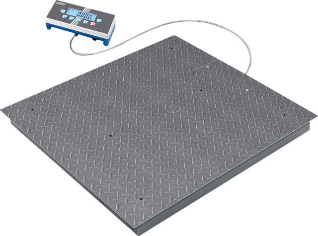 BID 600K-1DS - Bodenwaage, digital, bis 300 kg / 600 kg