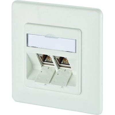 BTR 1309121002-E - E-DAT modul 2 Port UP Cat.6A reinweiß