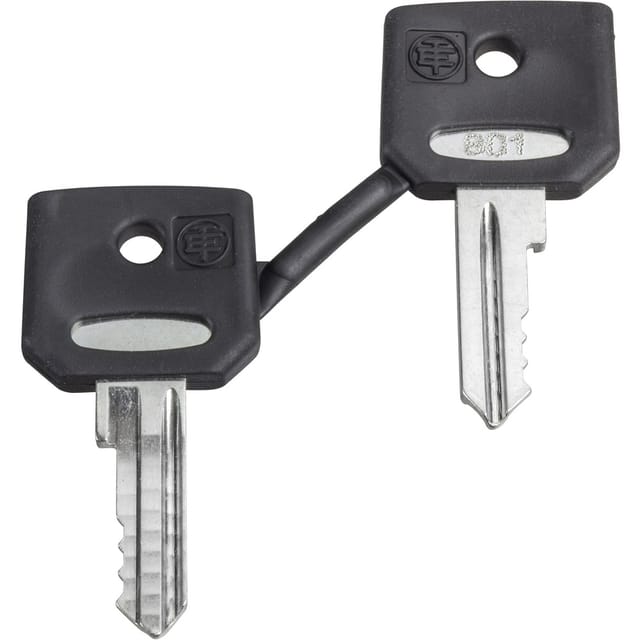 ZBD8D1 - Ersatzschlüssel f. Schlüsselschalter, 8D1, 2 Stck.