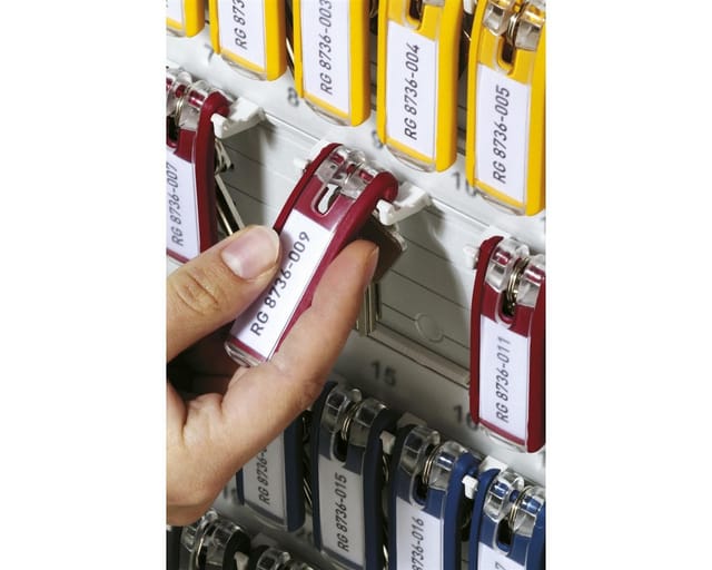 DURABLE 195700 - Schlüsselanhänger Key Clip, 6 Stück, sortiert