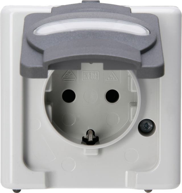 EL BE 103356006 - BLUE ELECTRIC AP-Feuchtraum-Steckdose, 1-fach, grau