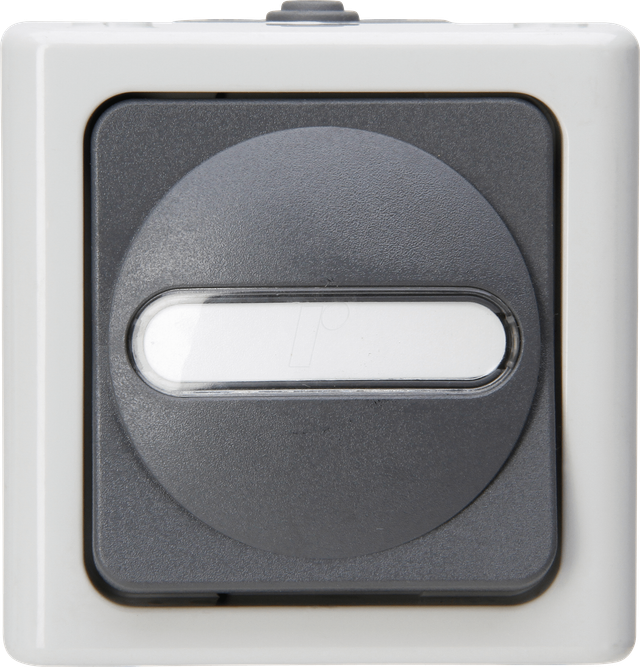 EL BE 560656006 - BLUE ELECTRIC AP-Feuchtraum-Schalter, Aus/Wechsel, grau