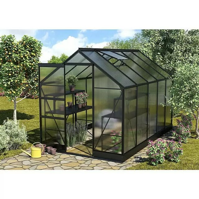 Vitavia Gewächshaus 'Apollo 6200' 194,2 x 324,6 cm mit 4 mm Hohlkammerplatten schwarz