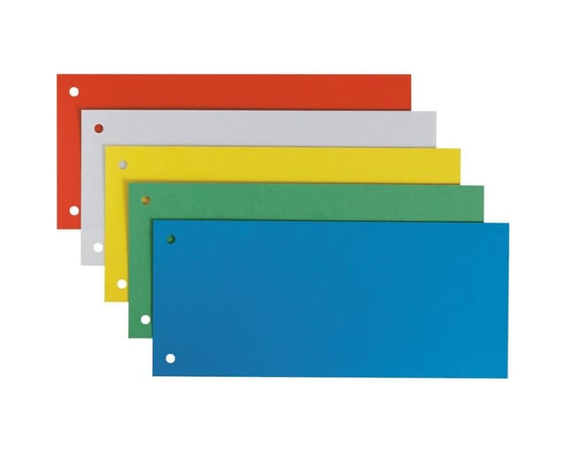 LEITZ 16796099 - Trennstreifen (105 x 240 mm), sortiert, 25 Stück