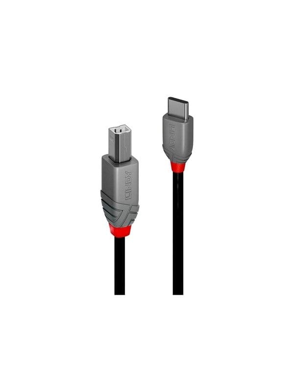 LINDY 36941 - USB 2.0 Kabel, C Stecker auf B Stecker, 1,0 m