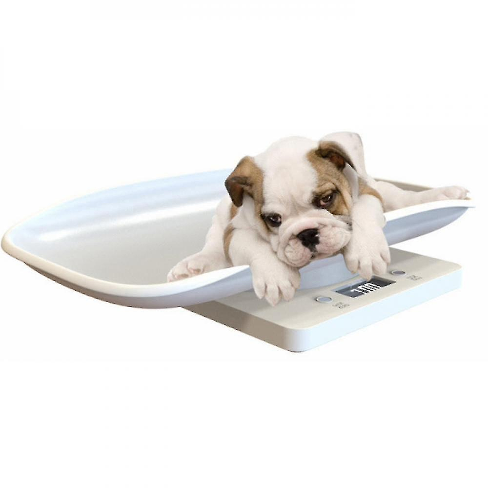 15 Kg De Matériel Électronique Pour Les Petits Animaux Et Les Chiens