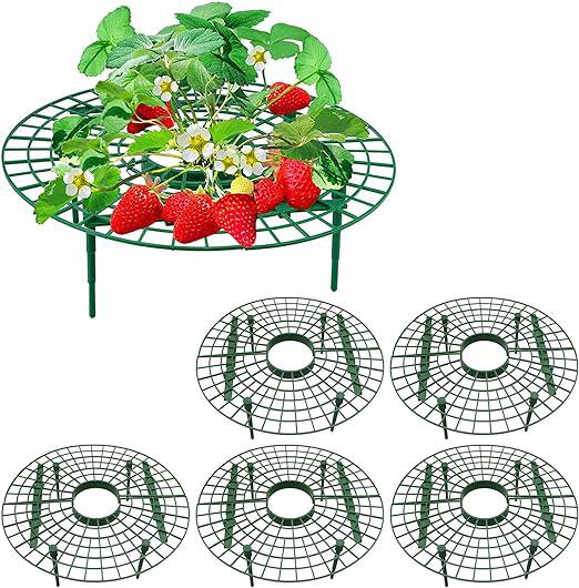 Ensemble De 5 Supports À Fraises - Support Réglable À 4 Pieds - Protection Contre Les Escargots, La Pourriture Et Le Mildiou