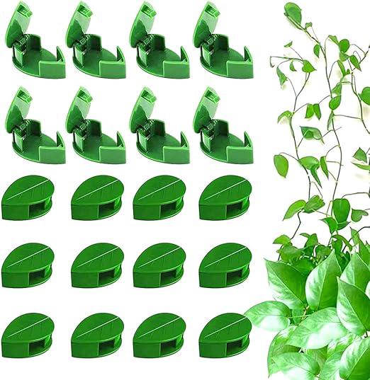 Lot De 20 Clips De Fixation Pour Plantes Grimpantes, Clips De Support Auto-adhésifs Invisibles, Clips Pour Plantes Murales Et Clips Pour Feuilles De Plantes Grimpantes.
