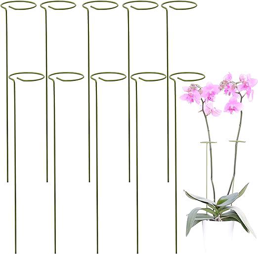 Kit De 10 Tuteurs Pour Plantes Grimpantes Et Fleurs - Tuteur Vert - Favorise La Croissance De Vos Fleurs - Tuteurs Pour Tomates - Tuteurs Pour Orchidées, Amaryllis, Pivoines, Poivrons Et Plus Encore