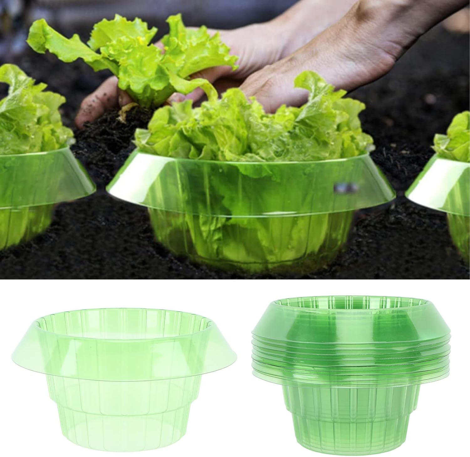 Manchons Pour Plantes En Plastique, 10 Horloges De Jardin Vertes, Manchons Ronds En Plastique Pour Plantes, Graines Réutilisables, Dômes D'Humidité Pour La Maison, Le Jardin Et La Serre.