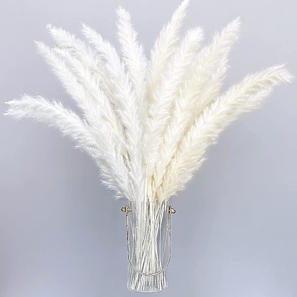 Lot De 30 Phragmites Artificiels Séchés De Style Bohème, Fleurs Blanches Pour Vases, Bouquet De Mariage, 55 Cm