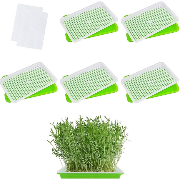 5-teiliges Keimset – Saatschale Mit Abflusslöchern, Bpa-frei, Für Weizen, Bohnen Und Microgreens, Mit Keimpapier (22,4 X 14,5 Cm)