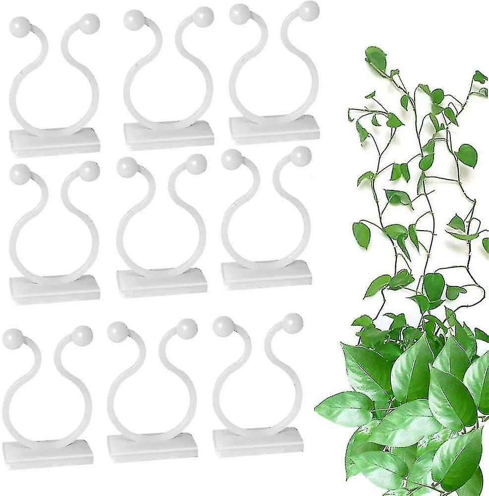 100 Wandbefestigungen Für Kletterpflanzen, Selbstklebende Haken, Rankenstützclips, Befestigungen Für Büro Und Garten