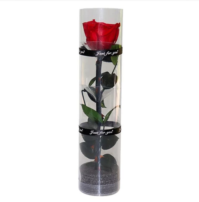 Konservierte Ewige Rose, Langlebige, Stabile Blume, Natürliche, Haltbare Rose, Dekorative Unsterbliche Rose