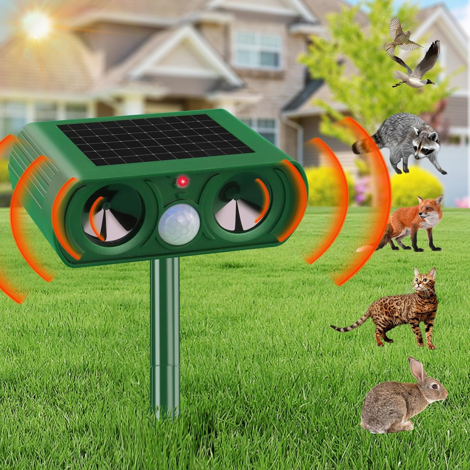 Ce Répulsif À Ultrasons Pour Chats, Alimenté À L'Énergie Solaire, Repousse Également Les Oiseaux, Les Renards, Les Ratons Laveurs, Les Lapins Et Les Rongeurs.