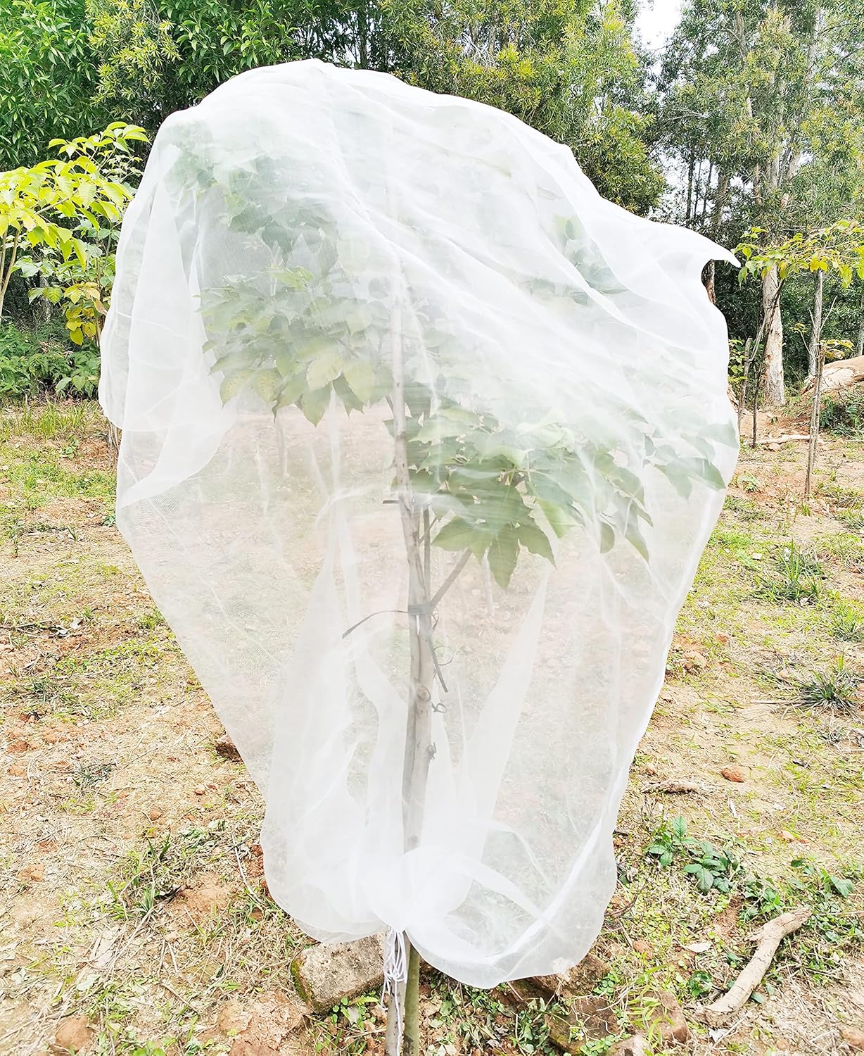 Filet De Protection Pour Arbre Fruitier 180 X 180 Cm Contre Les Insectes Avec Cordon Et Fermeture Éclair