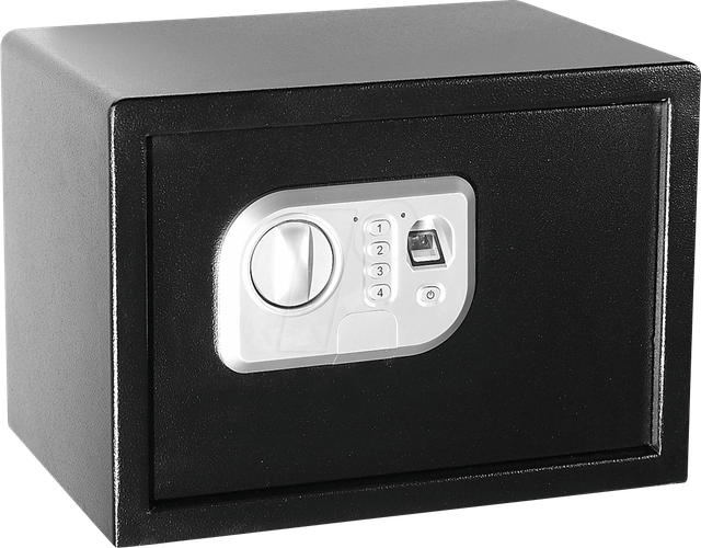 MEGASAT ST25FP - Safe mit Fingerabdruckscanner