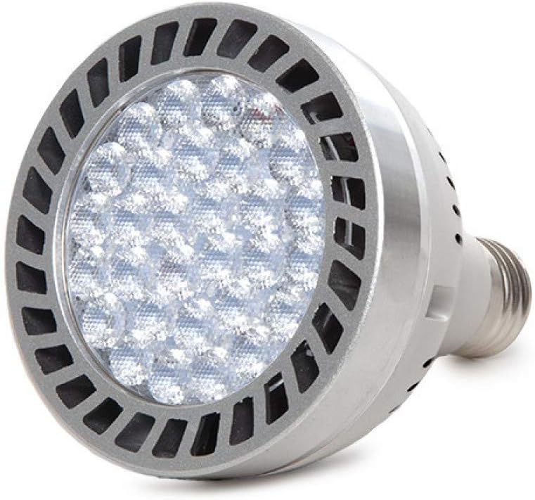 Jssevn - E27 45w 3900lm 4000k Par30 Led-lampe Mit Lüfter, 40.000h Lebensdauer [ho-par30-45-wf-w]