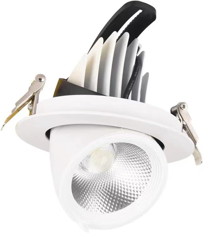 Jssevn - 30-w-led-einbaustrahler Mit Cob-lampe, Verstellbarer Neigung Und Drehfunktion, Weißes Downlight Für Küche Und Schlafzimmer
