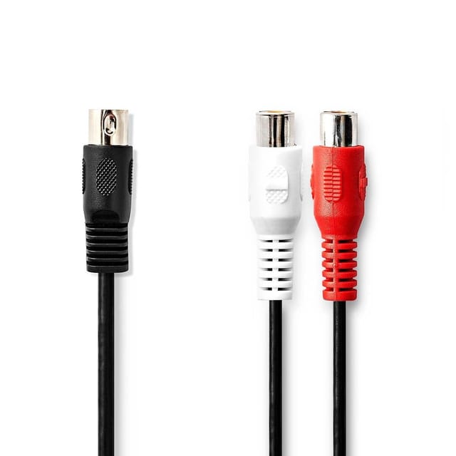 N CAGL20250BK02 - Audio Kabel, 5-pol DIN Stecker auf 2x Cinch Buchse, 0,2 m