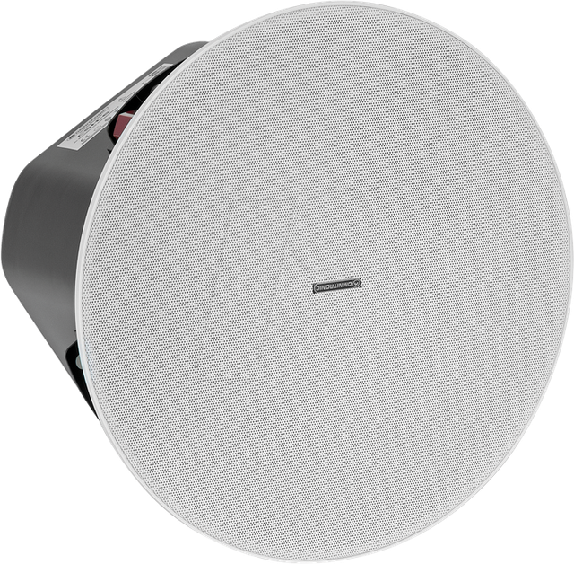 OMNI 80710356 - 2-Wege-ELA-Einbaulautsprecher, 40 W RMS