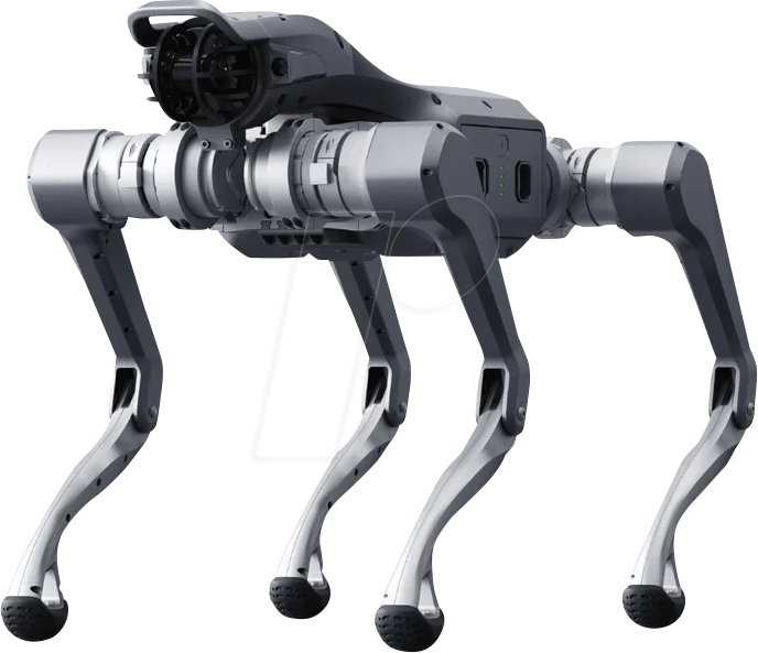 QR AS2 X - As2 X - Quadrupede