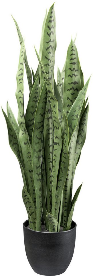 Künstliche Zimmerpflanze Sanseveria Grünpflanze, Creativ green, Höhe 110 cm, mit detailgetreuen Blättern Bild 2