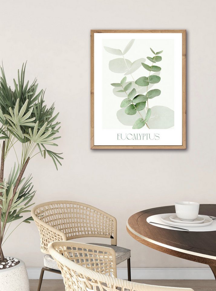 Bönninghoff Bild mit Rahmen Wandbild gerahmt EUCALYPTUS 40x50 cm – Botanik Wanddeko Boho Scandi, Blätter, Eukalyptus, Pflanzen (1 St), mit dekorativem Rahmen