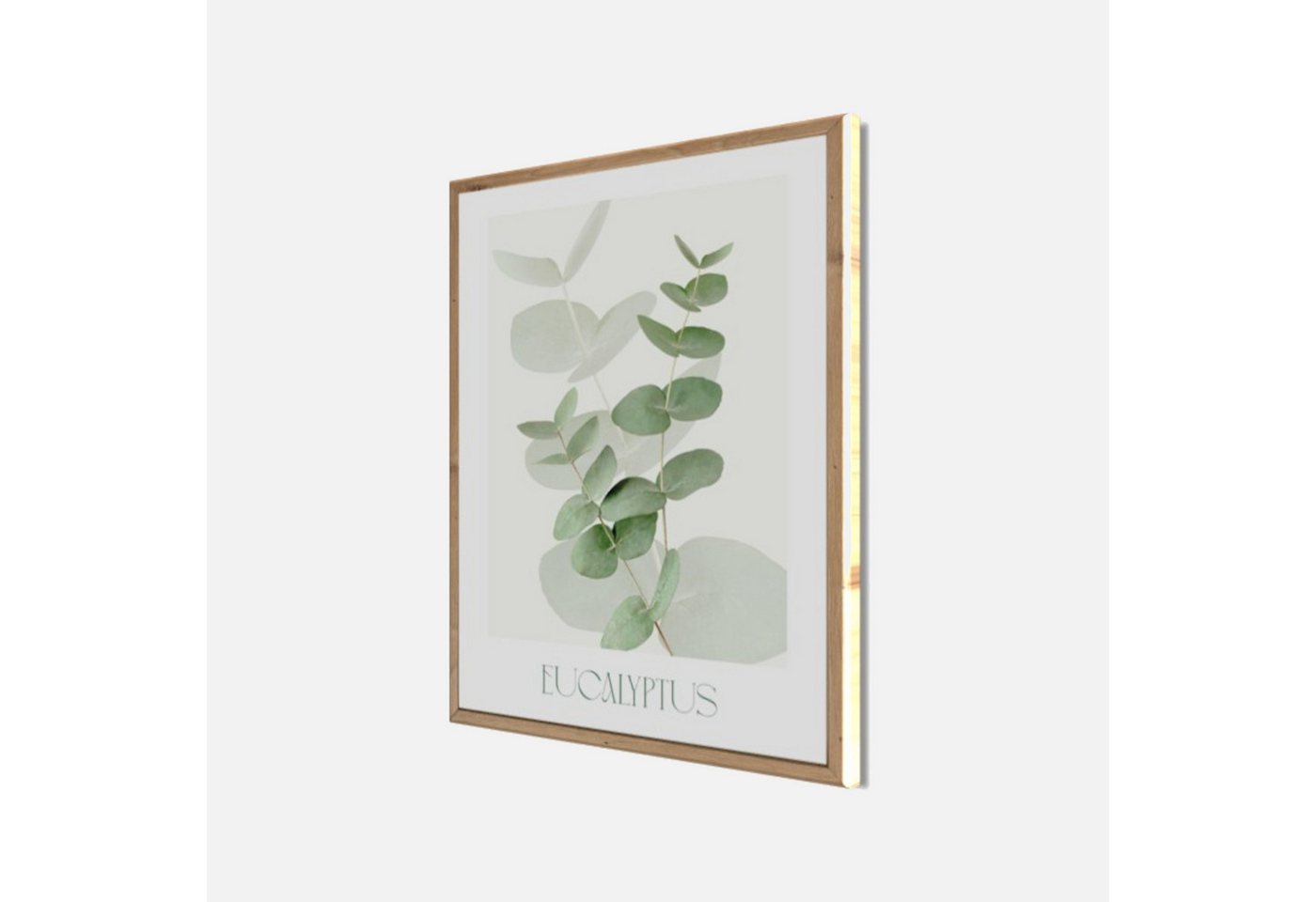 Bönninghoff Bild mit Rahmen Wandbild gerahmt EUCALYPTUS 40x50 cm – Botanik Wanddeko Boho Scandi, Blätter, Eukalyptus, Pflanzen (1 St), mit dekorativem Rahmen Bild 4