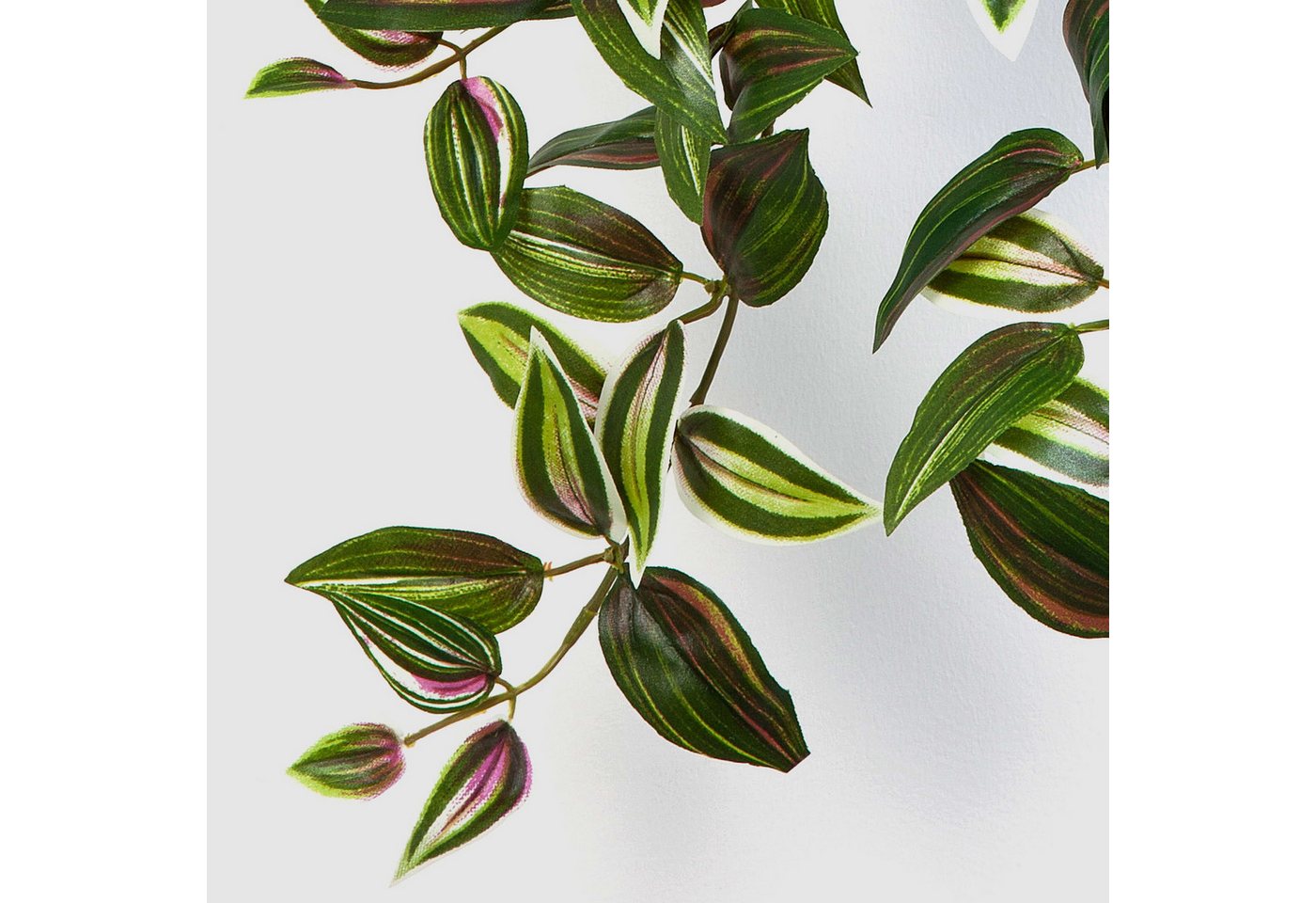 Künstliche Zimmerpflanze Kunst Tradescantia Zebrina Pancho, 260 Blätter, grün-lila, 70cm Tradescantia (Tradescantia zebrina), artplants, Höhe 70.0 cm Bild 2