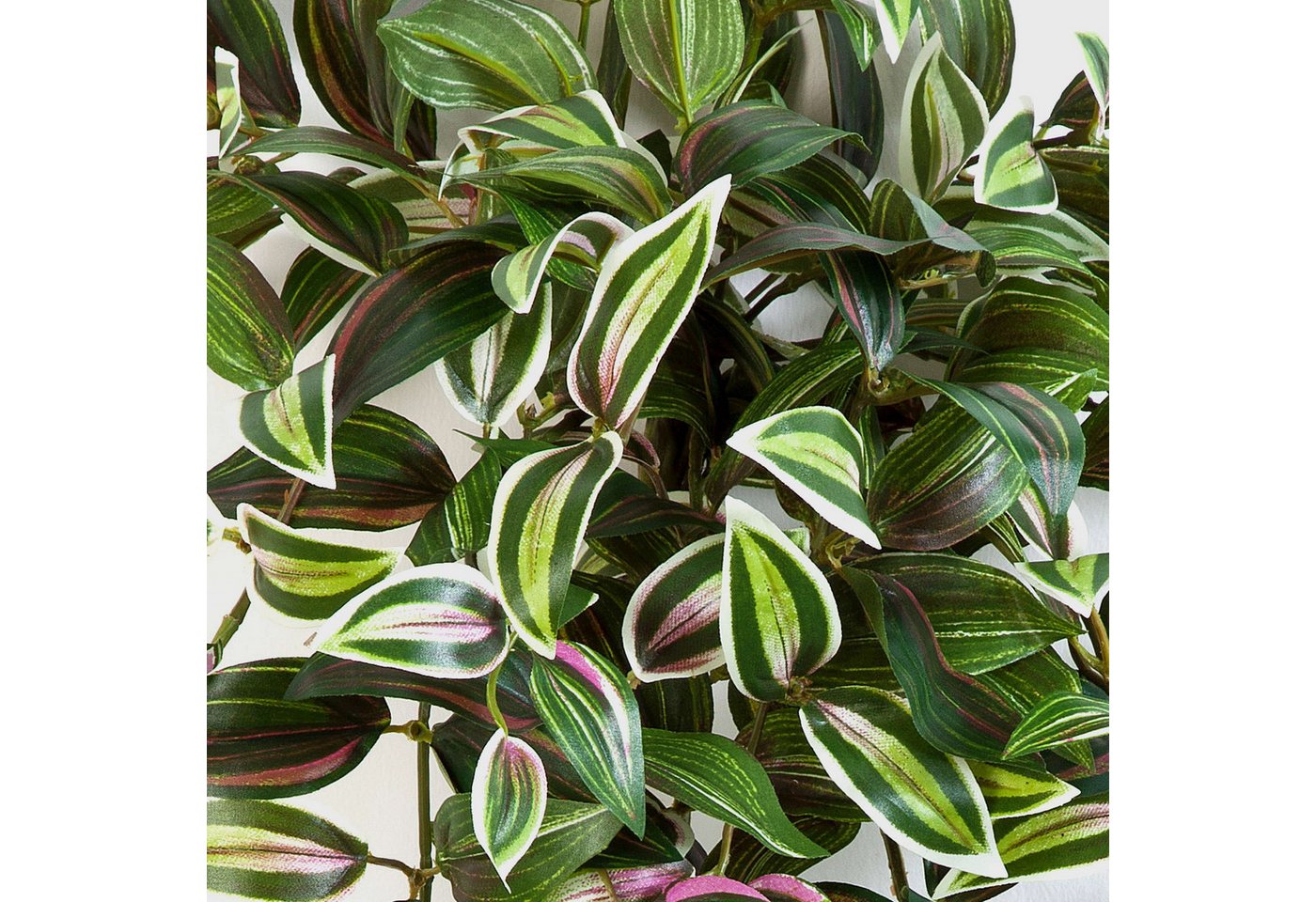Künstliche Zimmerpflanze Kunst Tradescantia Zebrina Pancho, 260 Blätter, grün-lila, 70cm Tradescantia (Tradescantia zebrina), artplants, Höhe 70.0 cm Bild 3