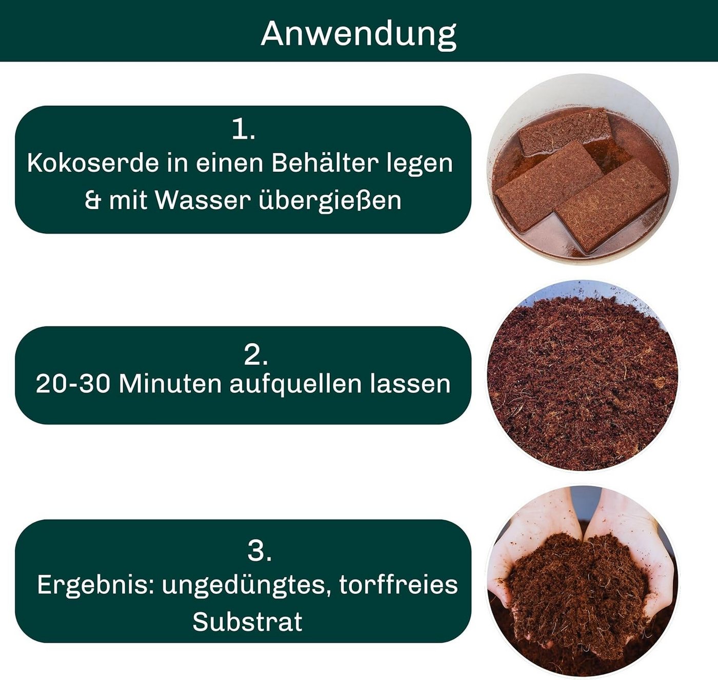 Blumixx Blumenerde Kokoserde für Pflanzen, Anzuchterde, Kokosfaser Substrat für Terrarien 3, (x 650g), torffrei, pH-neutral, natürlich abbaubar