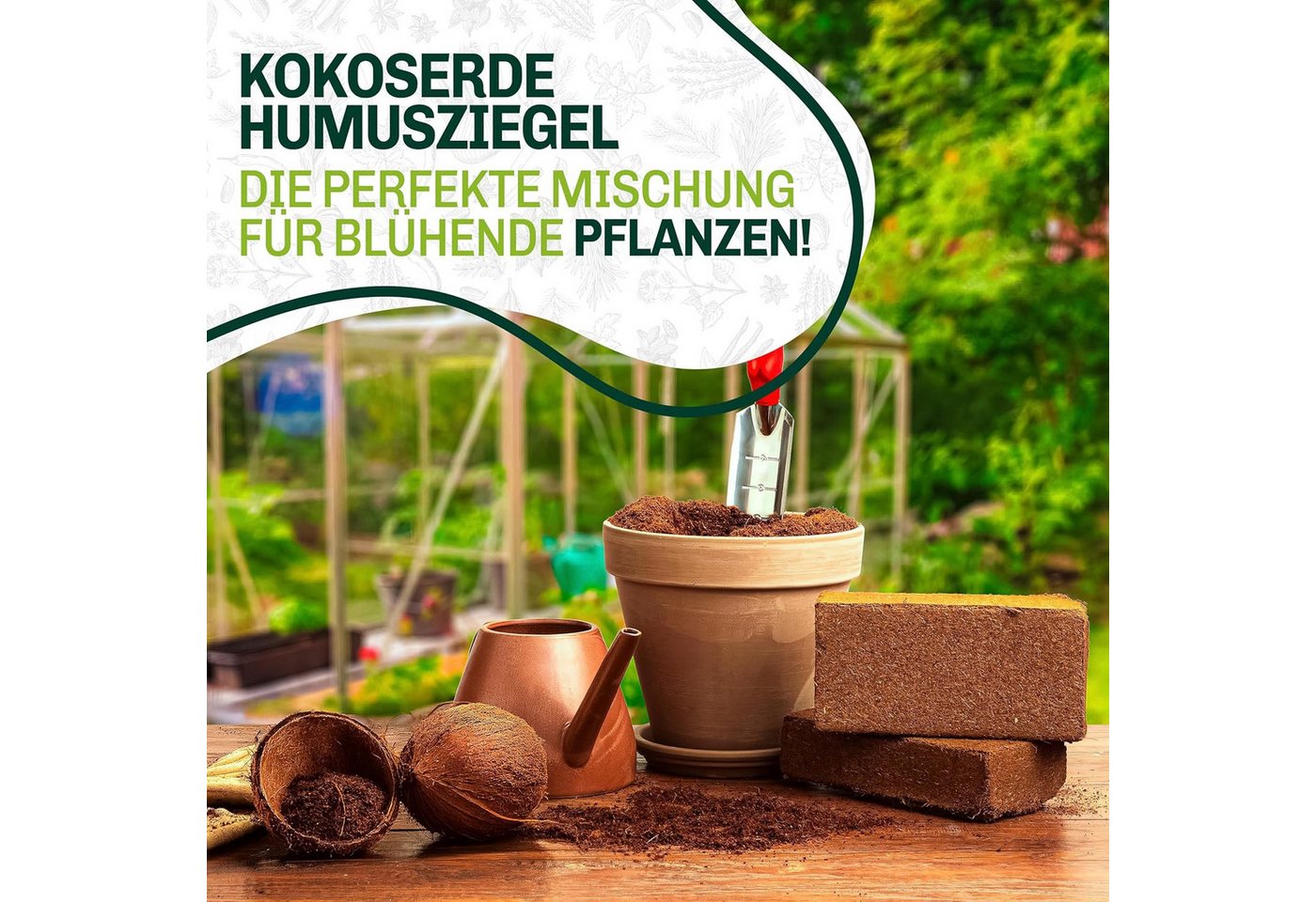 Blumixx Blumenerde Kokoserde für Pflanzen, Anzuchterde, Kokosfaser Substrat für Terrarien 3, (x 650g), torffrei, pH-neutral, natürlich abbaubar Bild 2