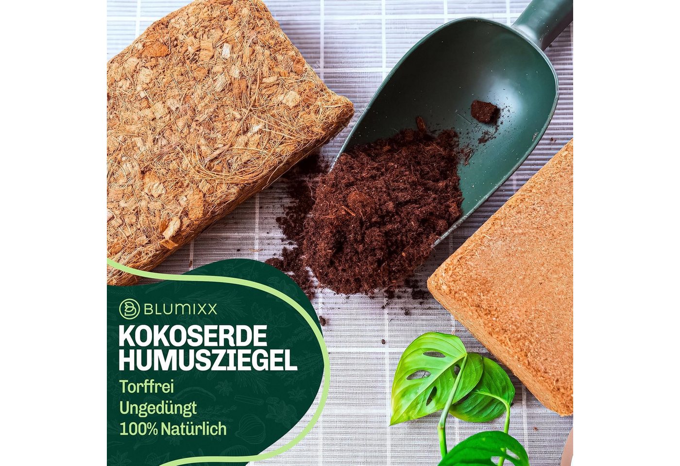 Blumixx Blumenerde Kokoserde für Pflanzen, Anzuchterde, Kokosfaser Substrat für Terrarien 3, (x 650g), torffrei, pH-neutral, natürlich abbaubar Bild 5
