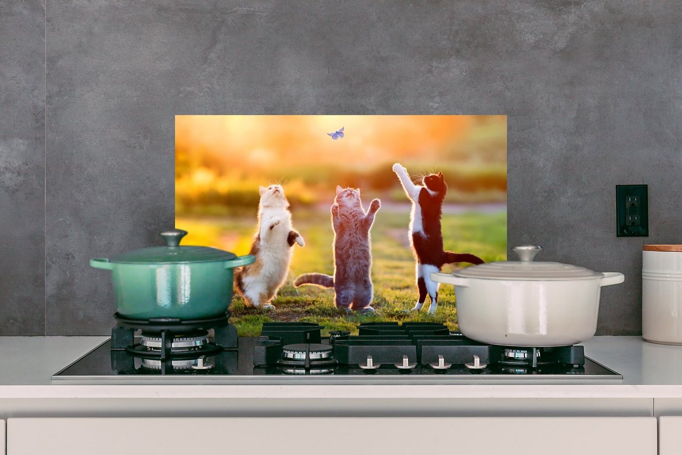 MuchoWow Küchenrückwand Katzen - Schmetterling - Sonnenuntergang - Gras - Natur, (1-tlg), Spritzschutz Küche, Küchendeko, 60x40 cm