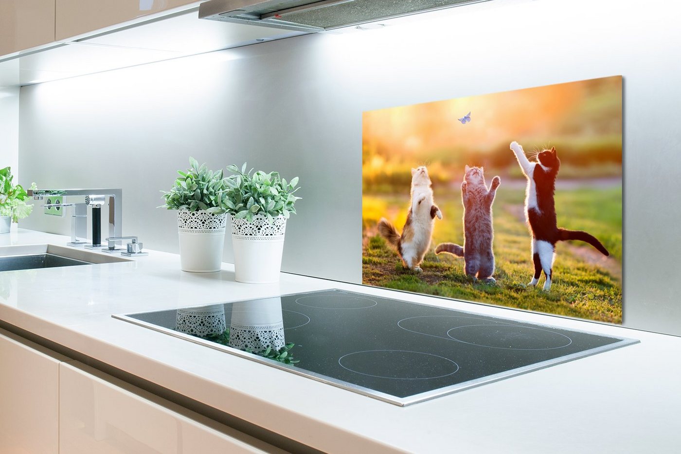 MuchoWow Küchenrückwand Katzen - Schmetterling - Sonnenuntergang - Gras - Natur, (1-tlg), Spritzschutz Küche, Küchendeko, 60x40 cm Bild 4