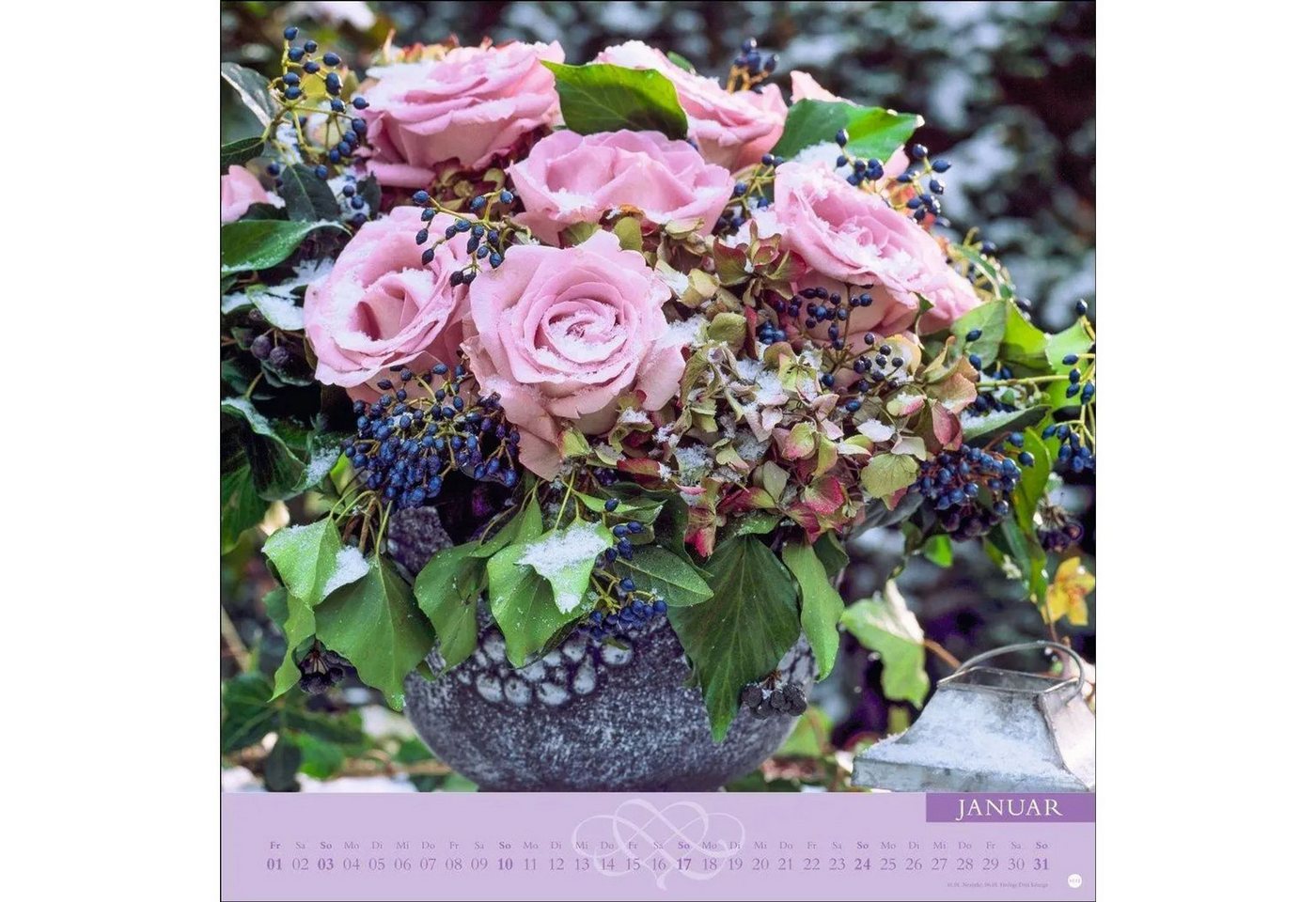 HEYE Wandkalender Rosenduftkalender 2027 Bild 4