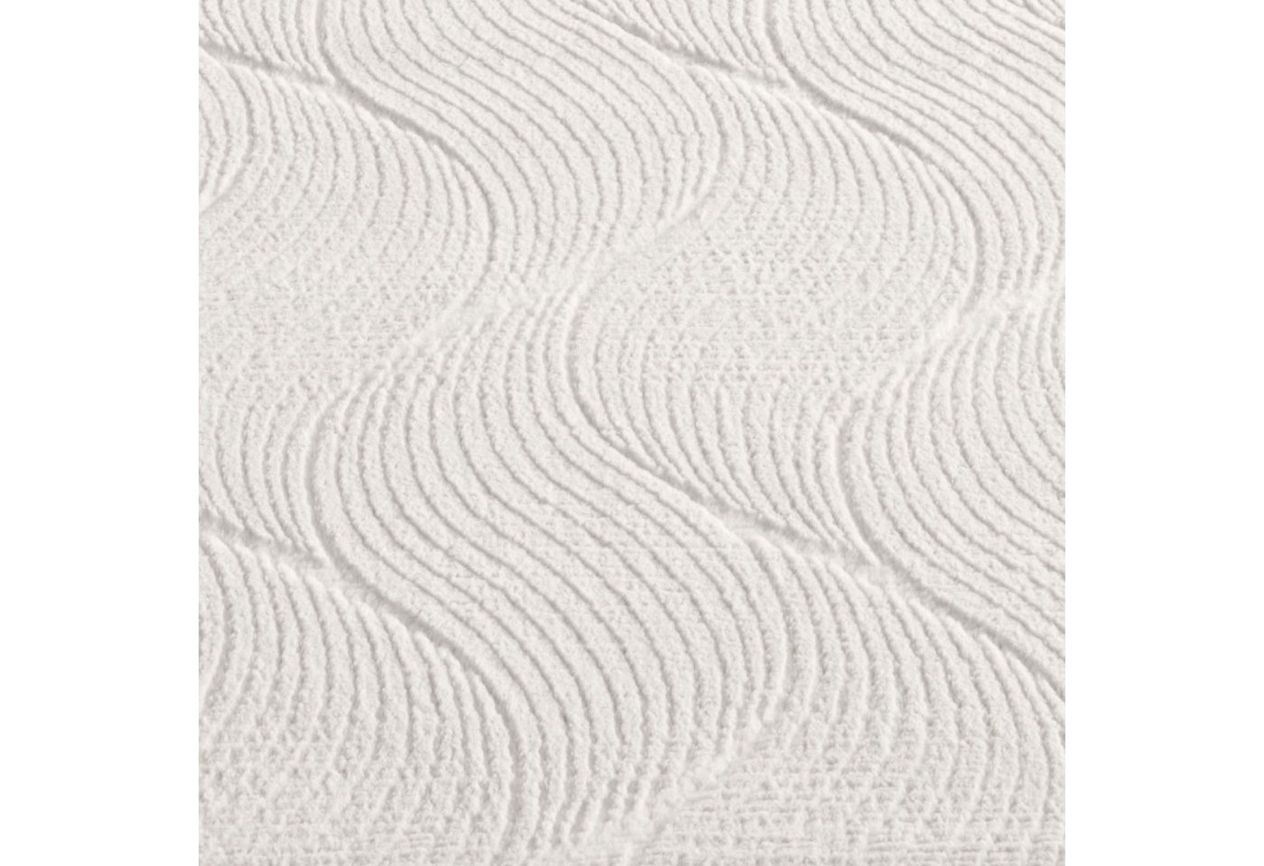 TaCa Home Teppich Kurzflor Teppich Hasenfell Optik, rund, Höhe: 10 mm, Wohnzimmer, Kinderzimmer, Esszimmer, Shell Creme - 80 x 80 cm rund Bild 4