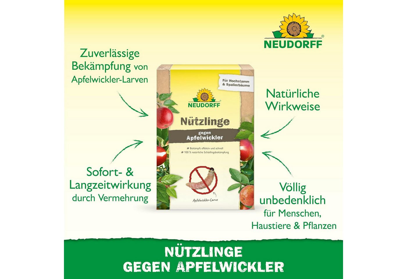 Neudorff Nematoden Nützlinge gegen Apfelwickler, 5 Mio. SF-Nematoden gegen Apfelwickler-Larven Bild 2