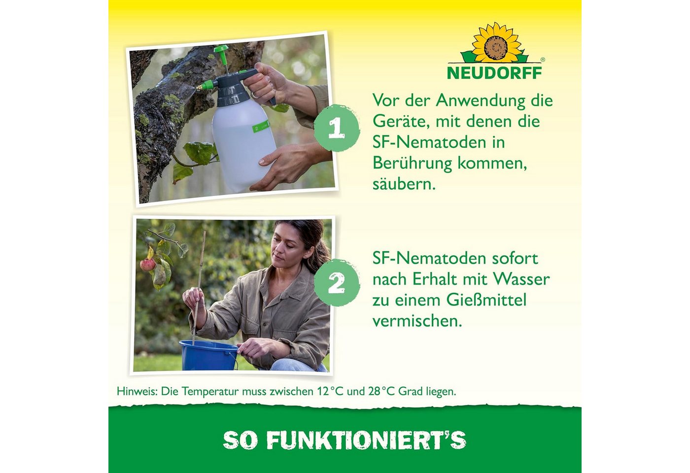 Neudorff Nematoden Nützlinge gegen Apfelwickler, 5 Mio. SF-Nematoden gegen Apfelwickler-Larven Bild 4
