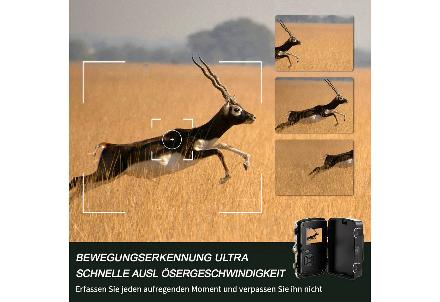 Fine Life Pro Wildkamera 16MP 1080P IP66 wasserdichte Infraro Wildkamera (Wildkamera mit Bewegungsmelder und Nachtsicht mit 32GB Karte) Bild 4