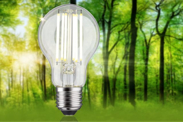 PLM 29221 - LED-Filamentlampe E27, 5 W, 1055 lm, 4000 K
