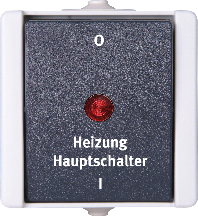 PROAQA 541356004 - proAQA - Heizungshauptschalter, grau