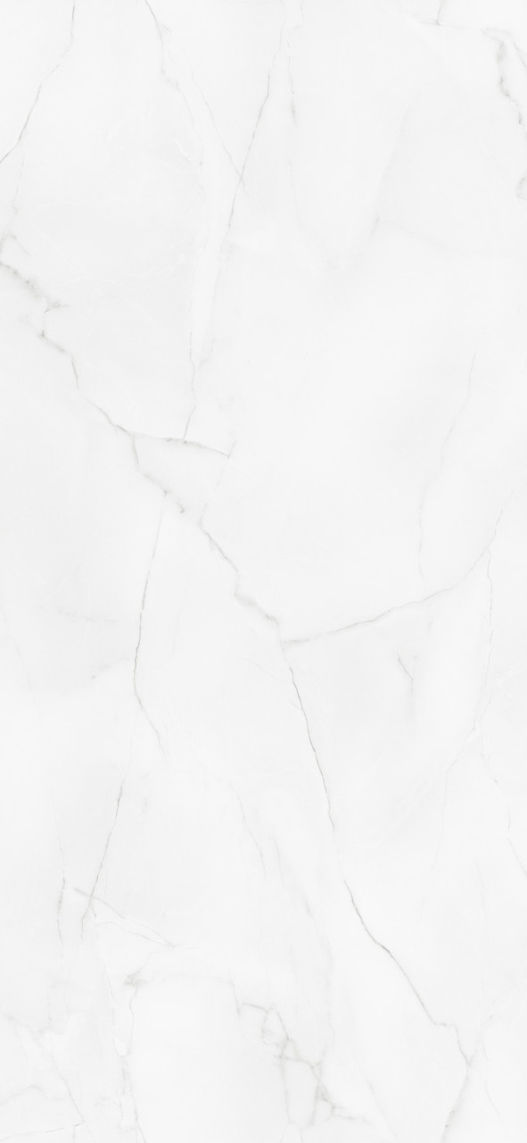 Wetwall Elite Wandpaneel Athena Marble 120 x 260 cm mit abgerundeter Abschlusskante Bild 3