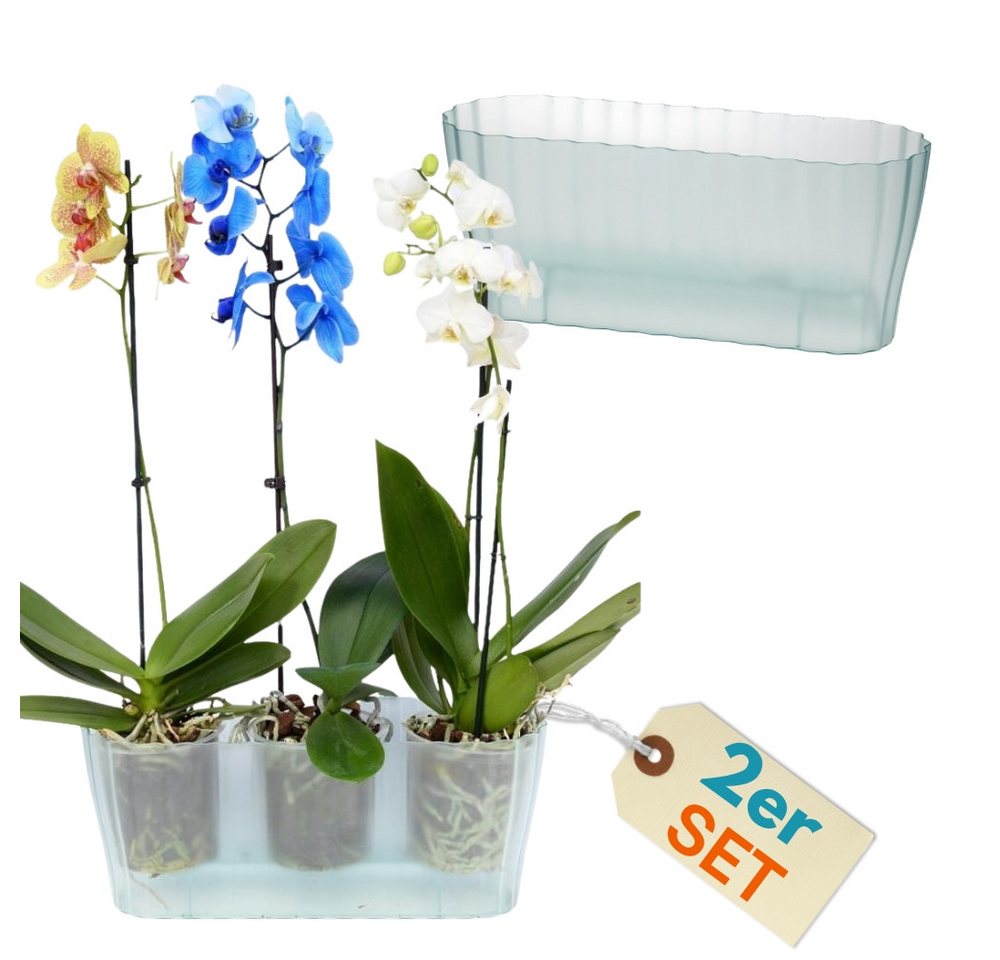 GarPet Blumentopf 2er Set Orchideentopf Transparent Orchideen Über Pflanz groß Elegant Bild 2