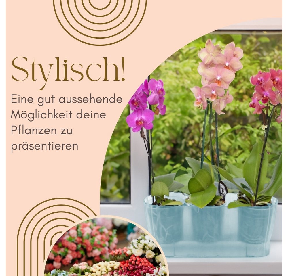 GarPet Blumentopf 2er Set Orchideentopf Transparent Orchideen Über Pflanz groß Elegant Bild 3