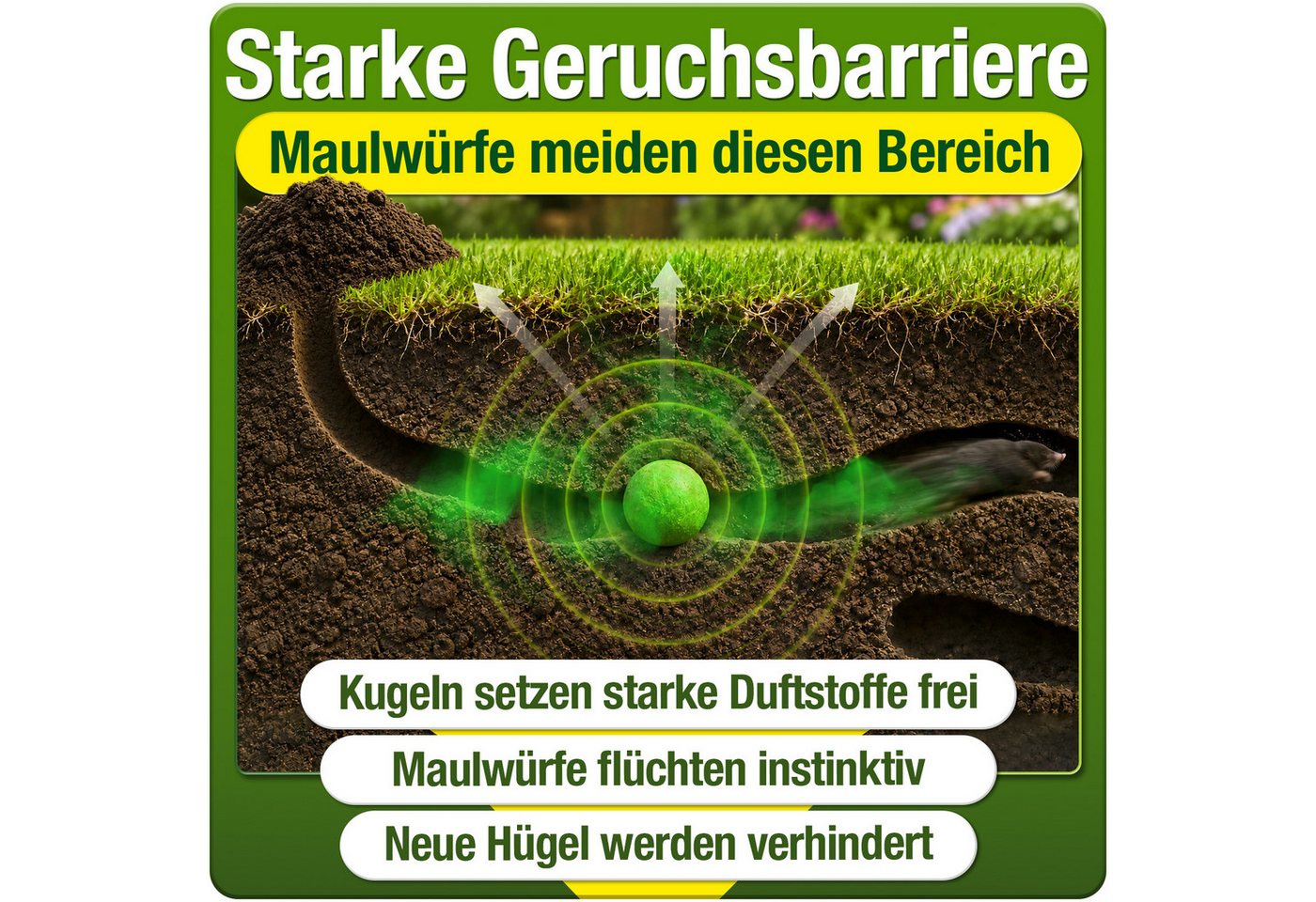 HEIMWERT Vergrämungsmittel Heimwert Maulwurfkugeln, 100 Stück, 2-St., Vorteilspackung, Giftfrei, geräuschlos, Langzeitwirkung bis zu 85 Tage, Made in Germany Bild 5
